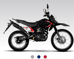 motomel skua 250
